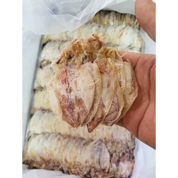 Mực Khô Câu Tuyển Chọn | Nguyên Con | 20 Con/Set | Dày Thịt Ngọt | Cỡ 3–4 Ngón Tay